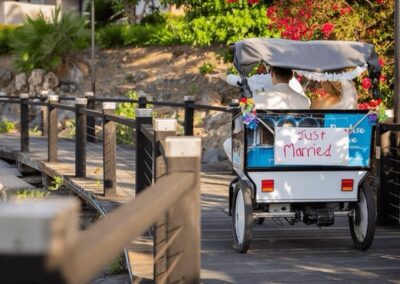 buggy that says just married after wedding