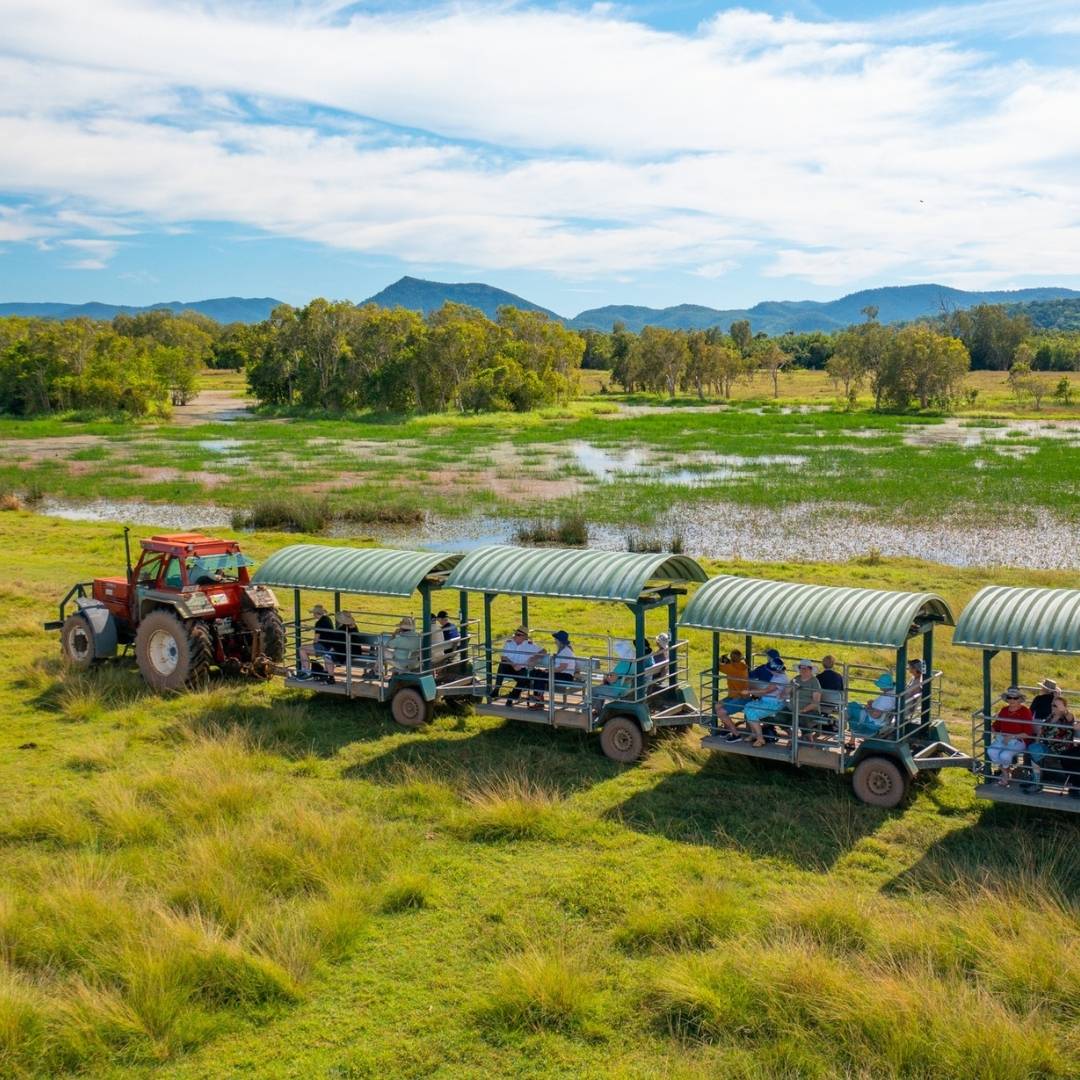 tractor pulling wagons with people on crocodile safari