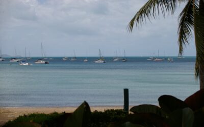 Airlie for free: lagoon mornings and lookout sunsets