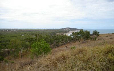 Bowen in a day from Airlie: beaches, murals and the Big Mango