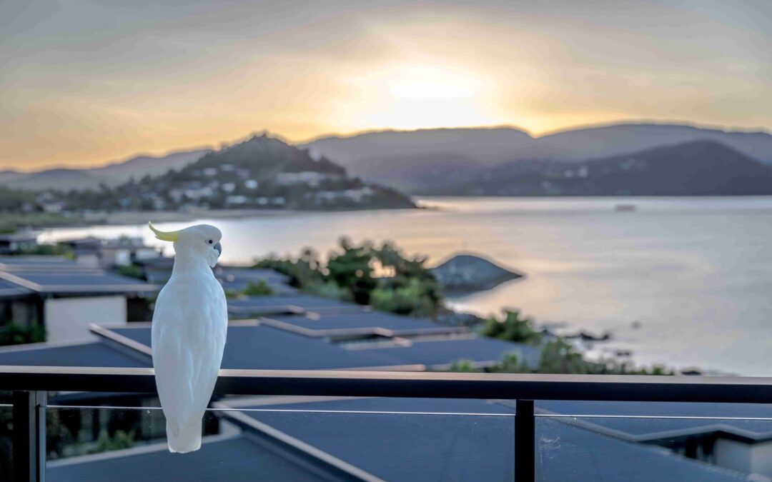 The Whitsundays without kids: a couples’ escape at Mirage